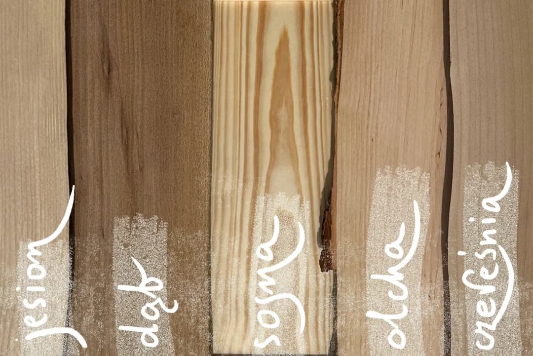 Jakie drewno na meble wybrać, aby uniknąć kosztownych błędów?